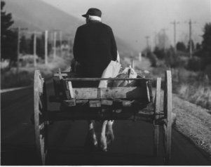 Heading Home with Groceries