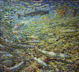 The Strike. Salmon Under Water